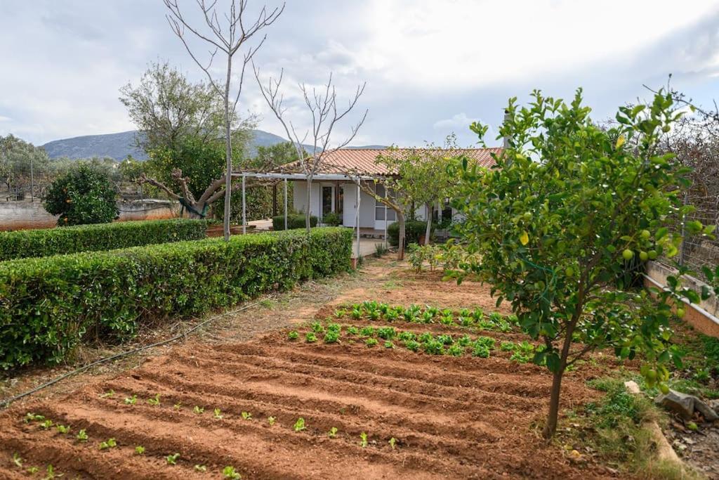 הוילה Markópoulon Farmbill מראה חיצוני תמונה